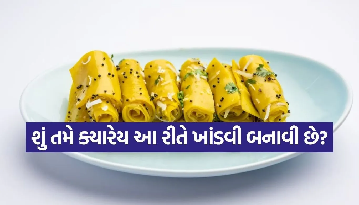 Khandvi