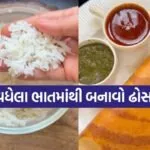 Homemade Rice Dosa