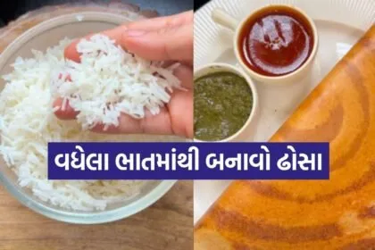 Homemade Rice Dosa