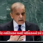 Pakistan2