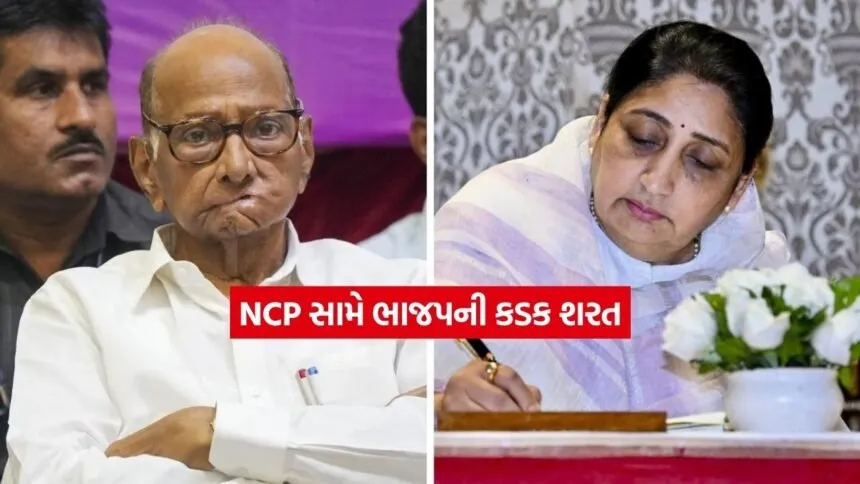 ncp