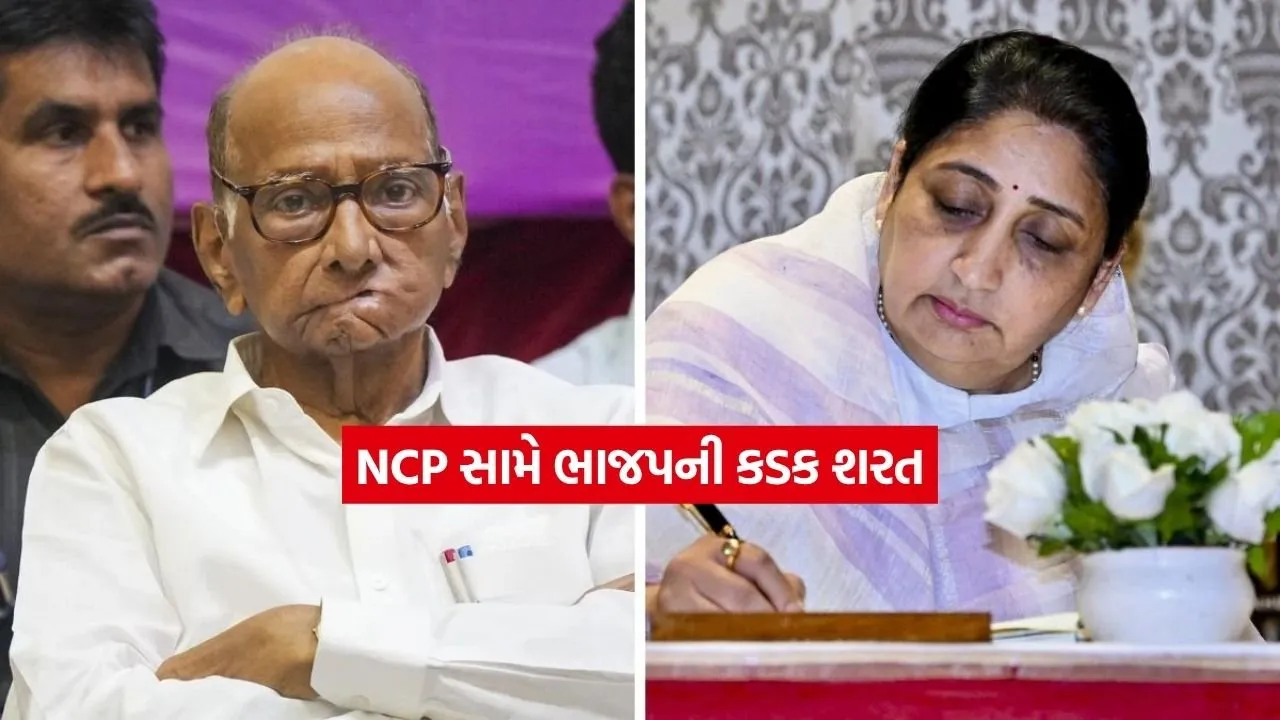 ncp.jpg