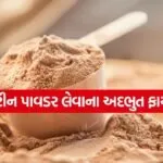 protein powder 1807