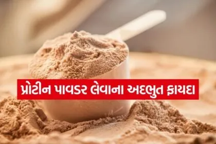 protein powder 1807