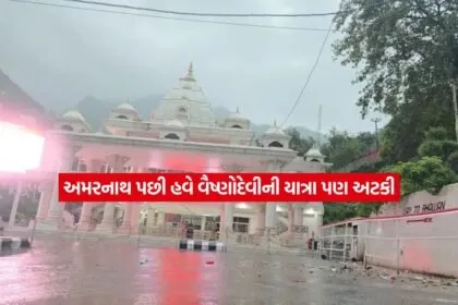 Vaishno Devi Yatra2