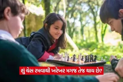 Chess3