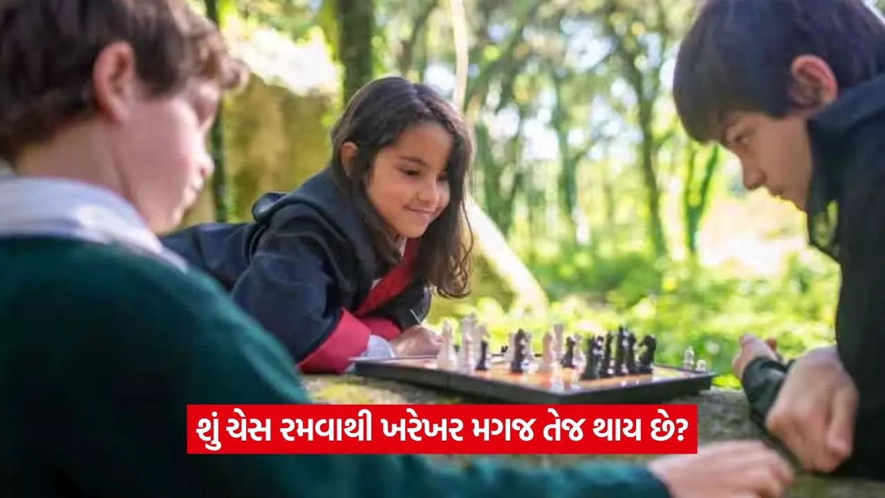 Chess3.jpg