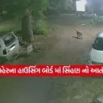 gair somnath