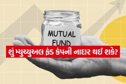 Mutual Fund 2007