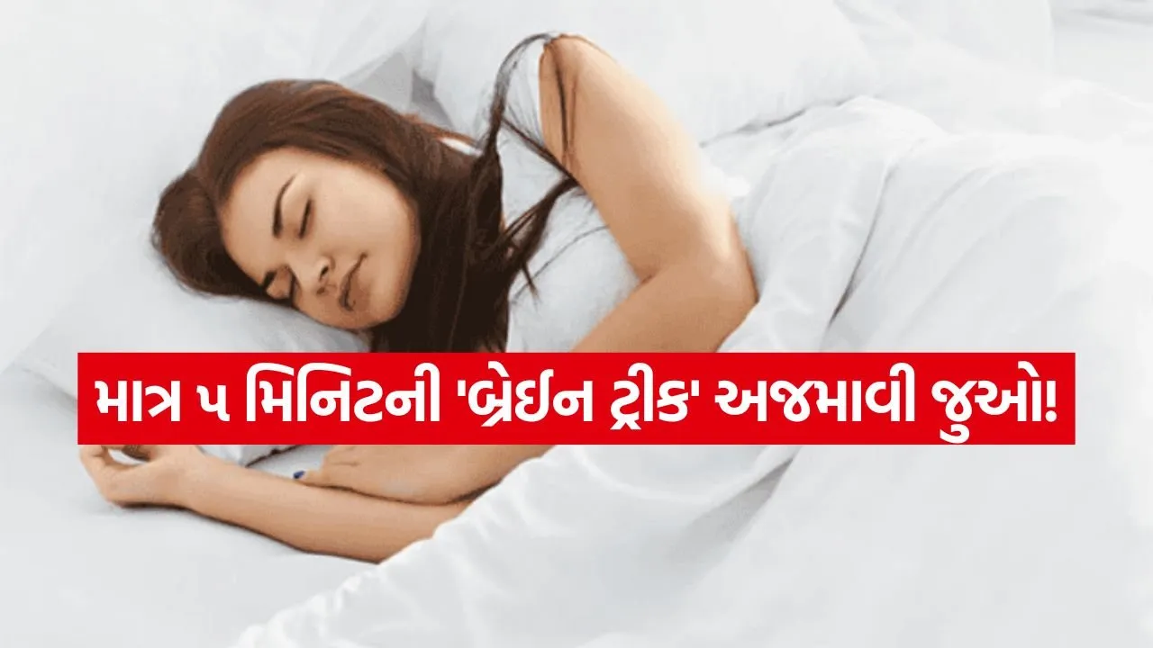 Sleep 2007.jpg