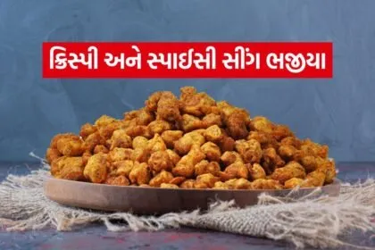 Sing Bhajiya 2007