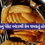 chips 2007