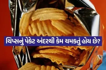 chips 2007