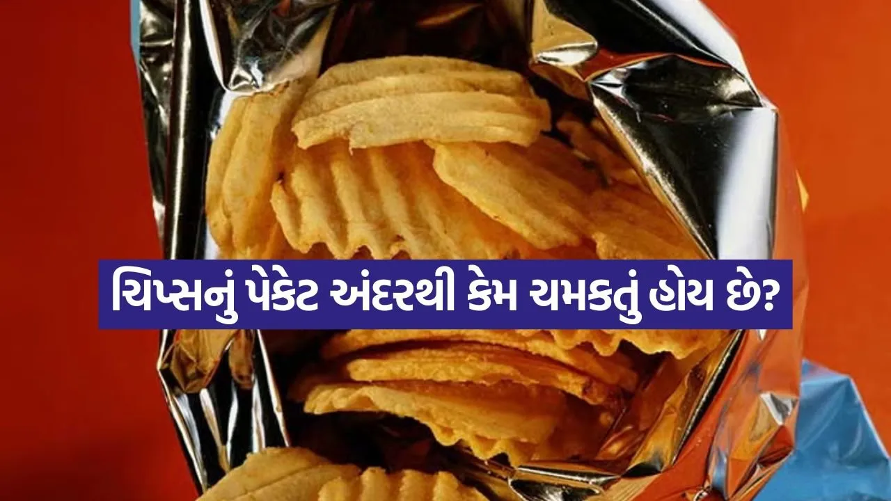 chips 2007.jpg