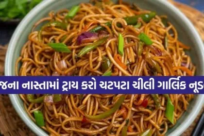 Chilli Garlic Noodles
