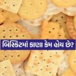 biscuits 2007