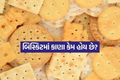 biscuits 2007
