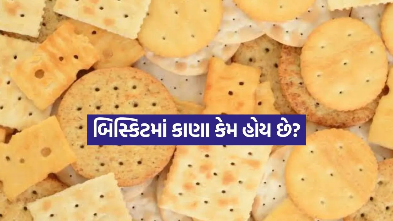 biscuits 2007.jpg