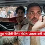 Rahul gandhi2