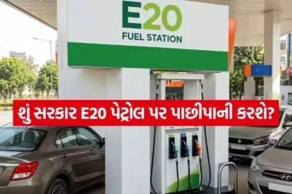 E20 Petrol 2007