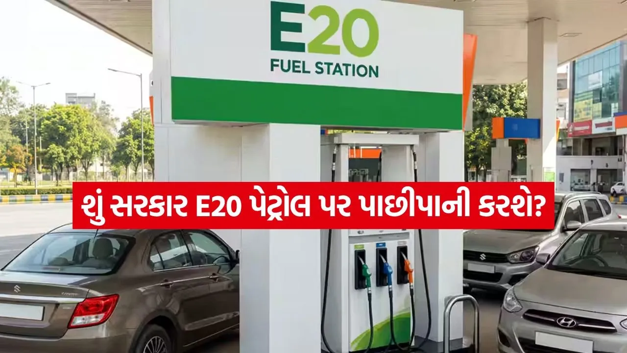 E20 Petrol 2007.jpg