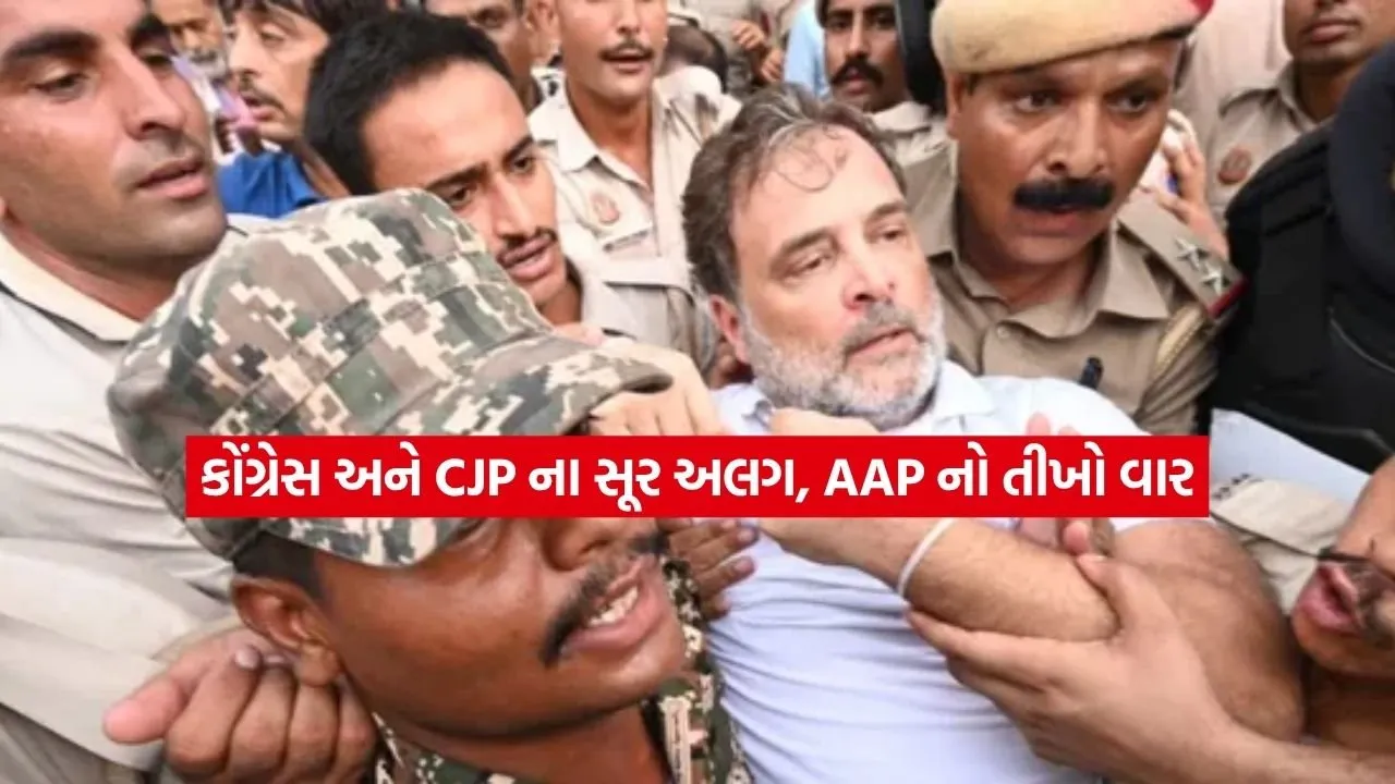 rahul.jpg