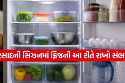Refrigerator Tips