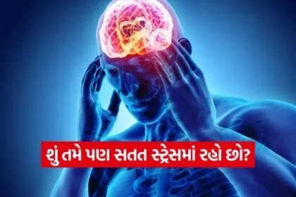 iNDIA 2026 07 22T104410.961
