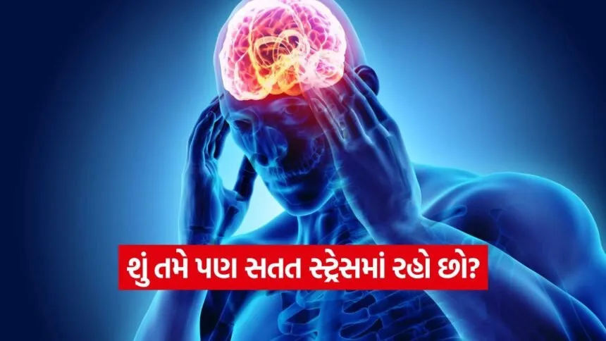 iNDIA 2026 07 22T104410.961