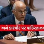India At UN