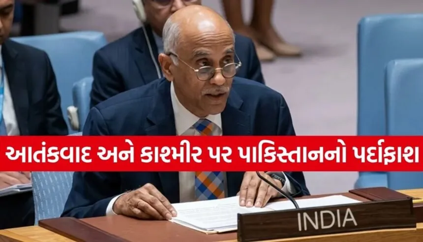 India At UN