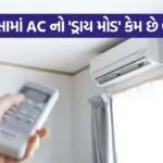 Monsoon AC Tips 2307