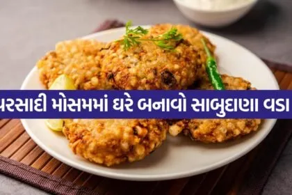 sabudana Vada 2407