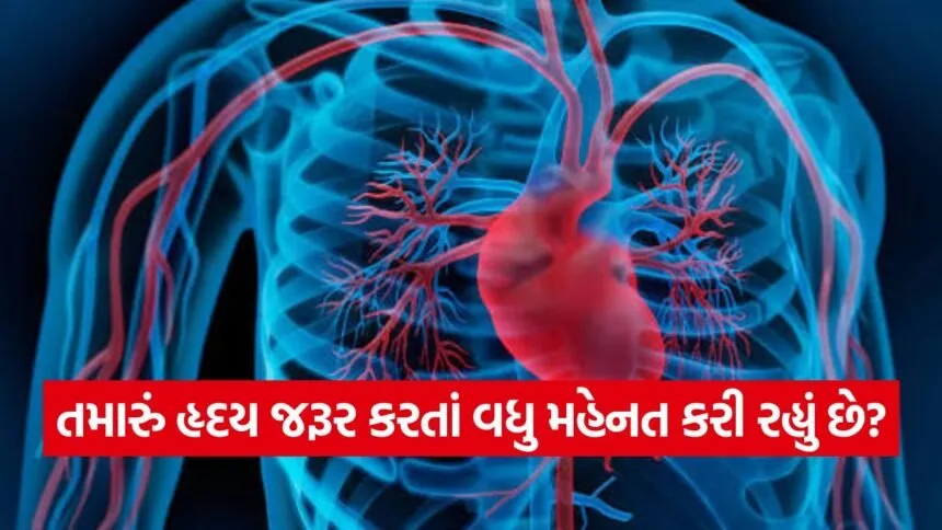 iNDIA 2026 07 24T104815.170
