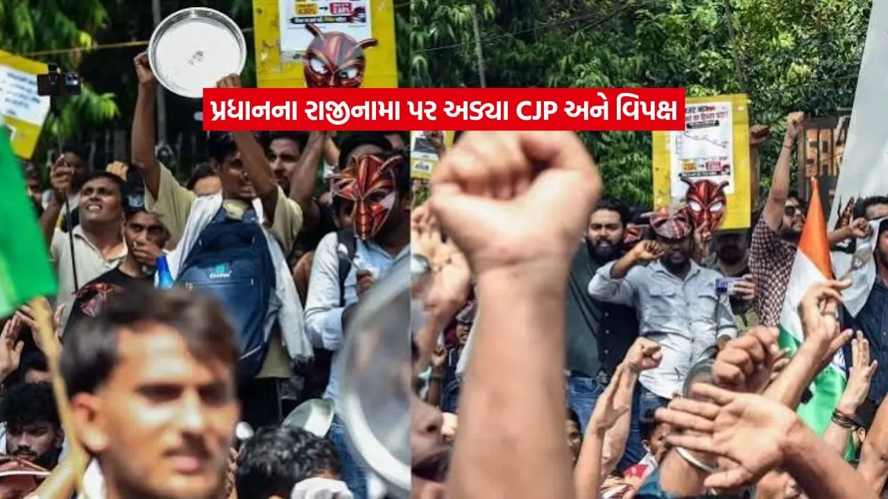 protest3.jpg