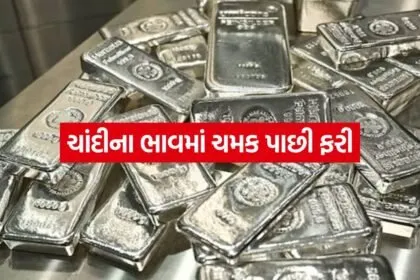 Silver 2507