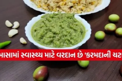 Karonda Chutney