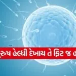iNDIA 2026 07 25T151921.203