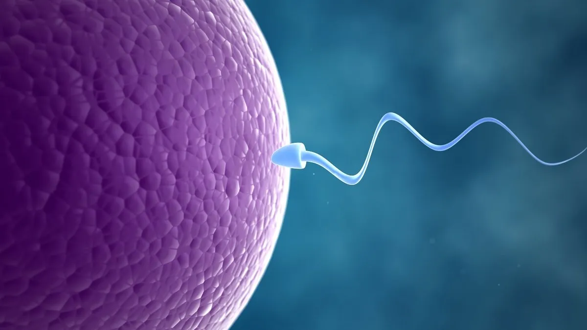 sperm 1.jpg