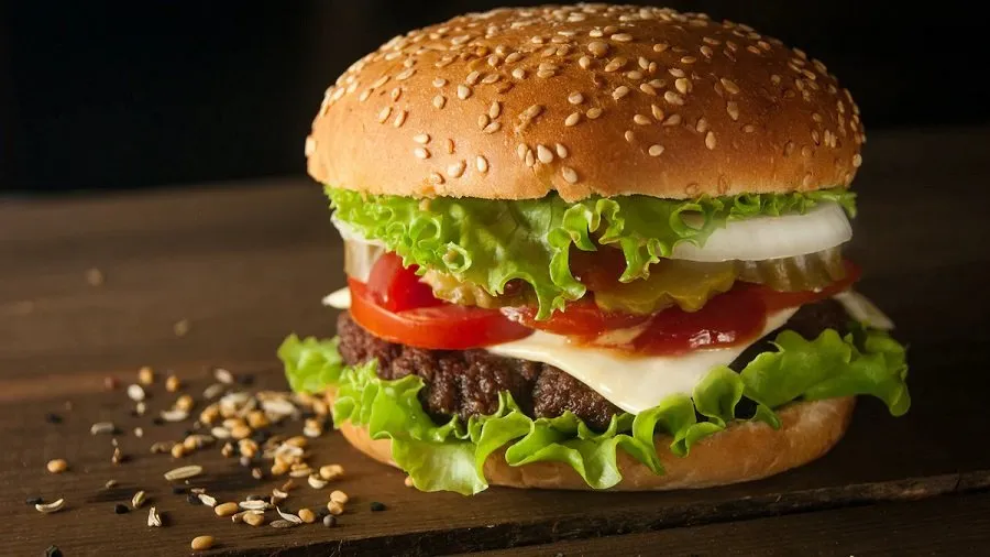 Burger Recipe