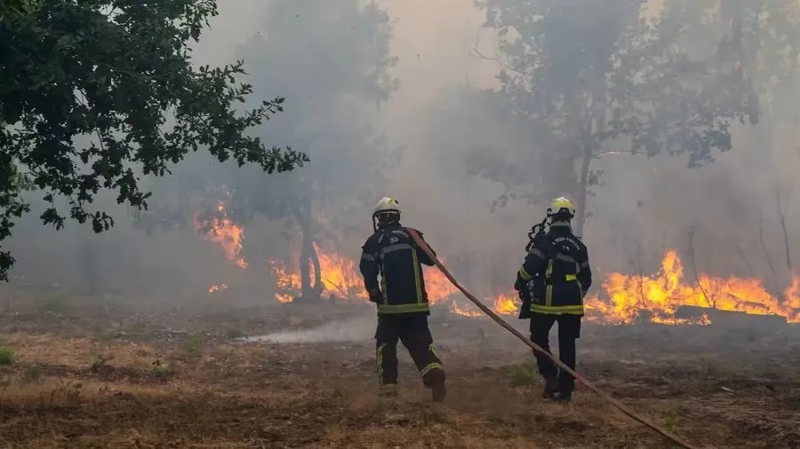 France Wildfire