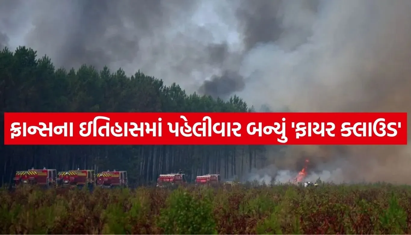 France Wildfire