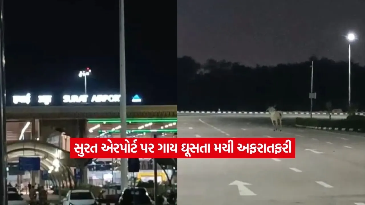 surat.jpg