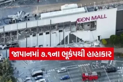 Japan Earthquake