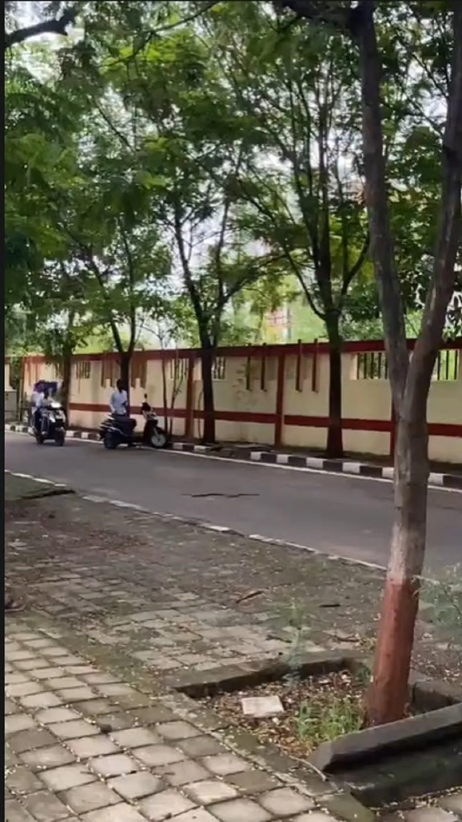 surat.jpg