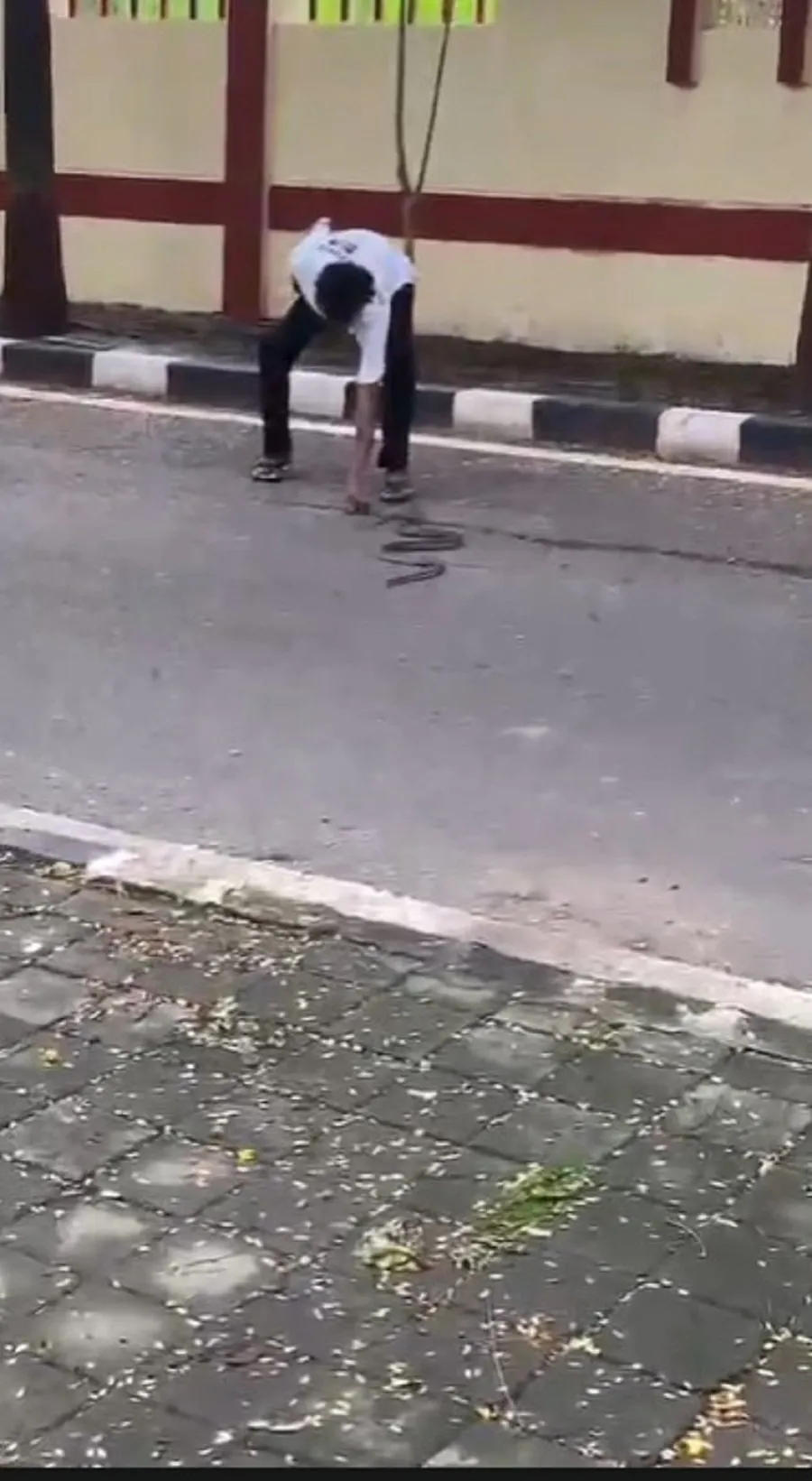 surat1.jpg