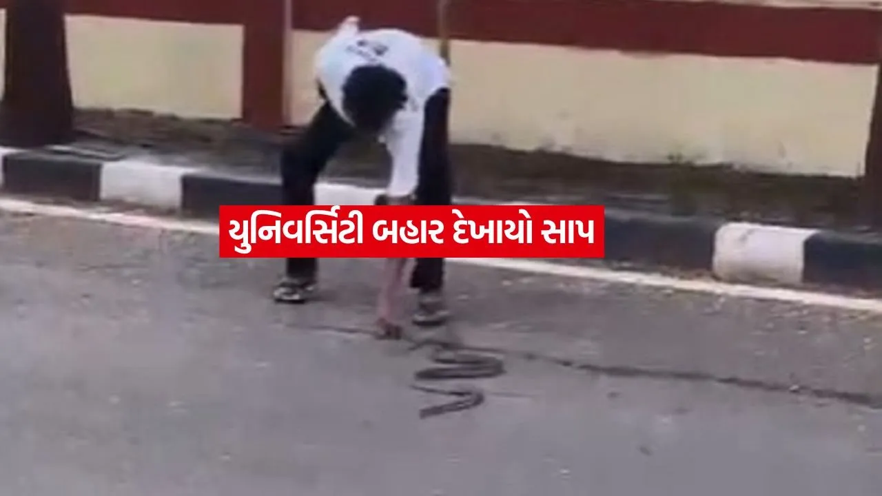surat2.jpg