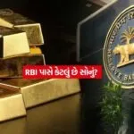 RBI1