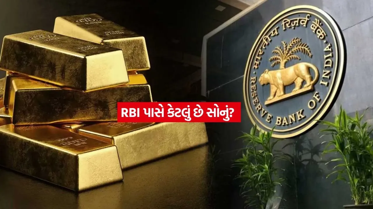 RBI1.jpg