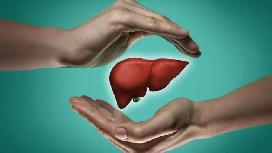 liver1.jpg